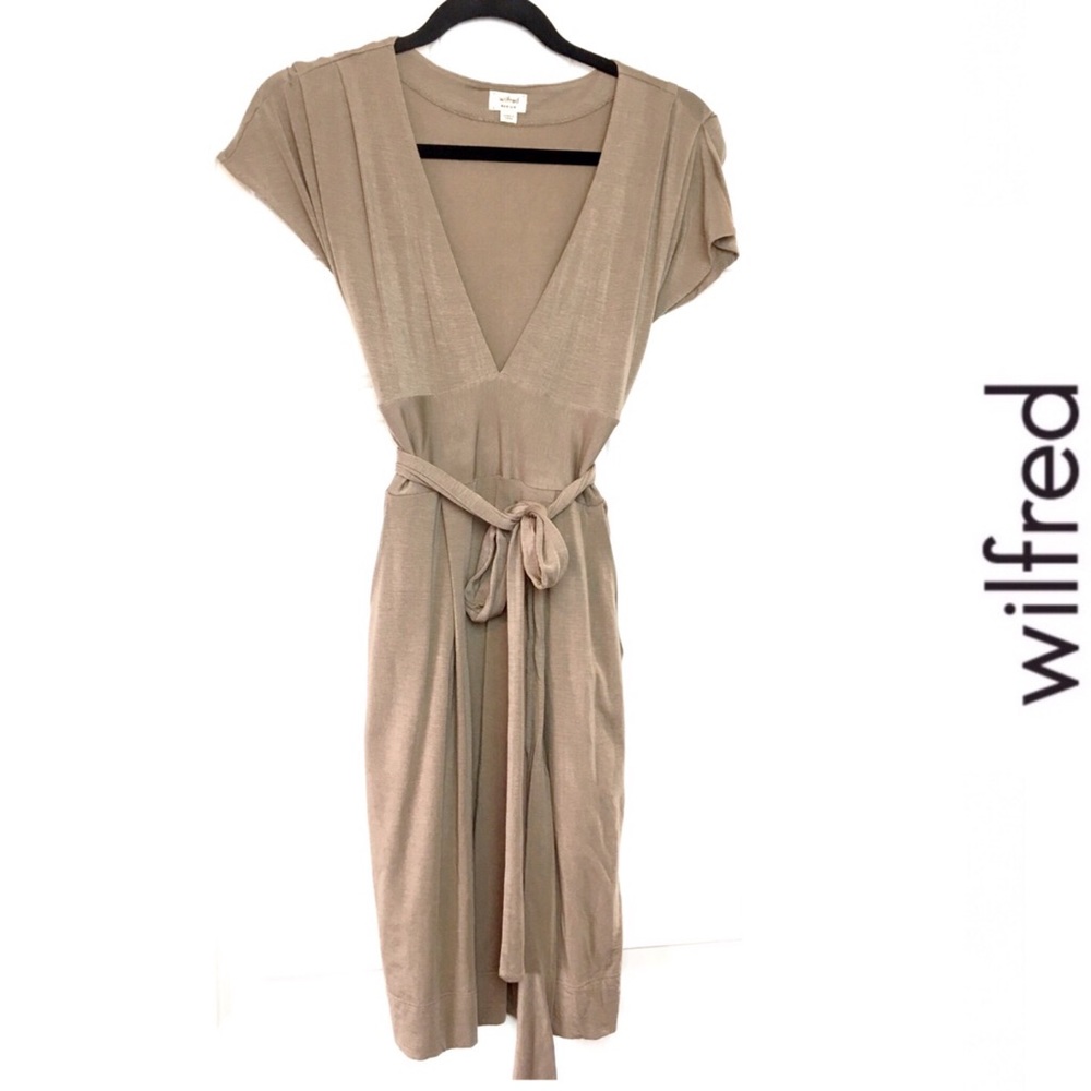 Aritzia dress